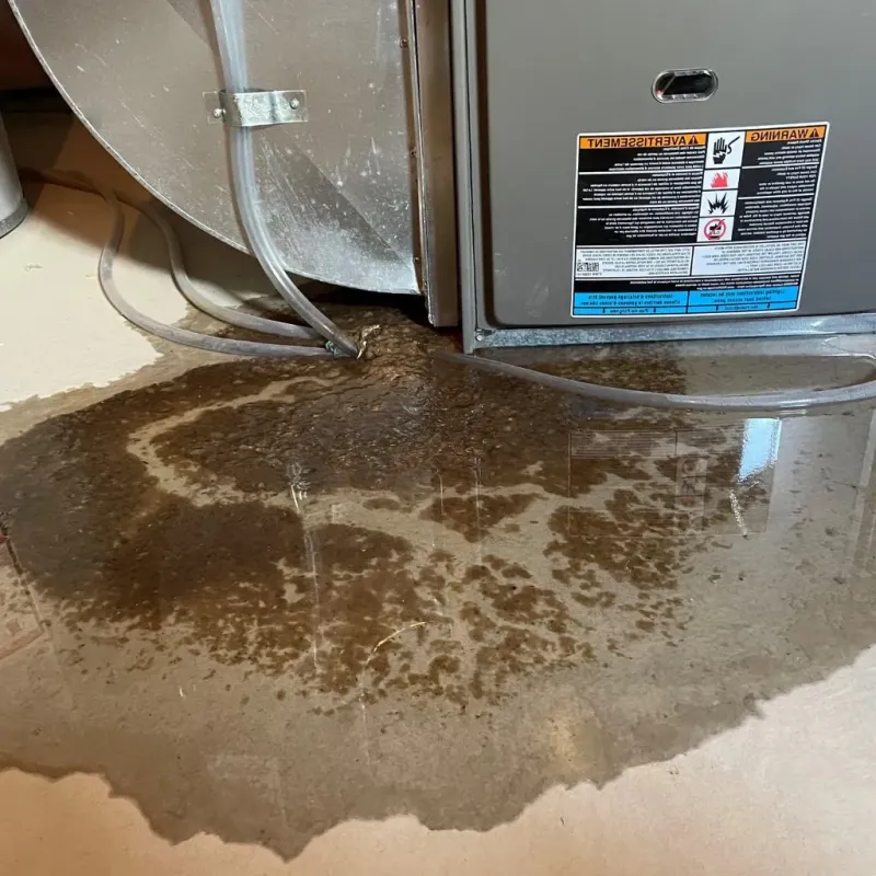 Pipe Burst and Leak Restoration in Irving Park, IL